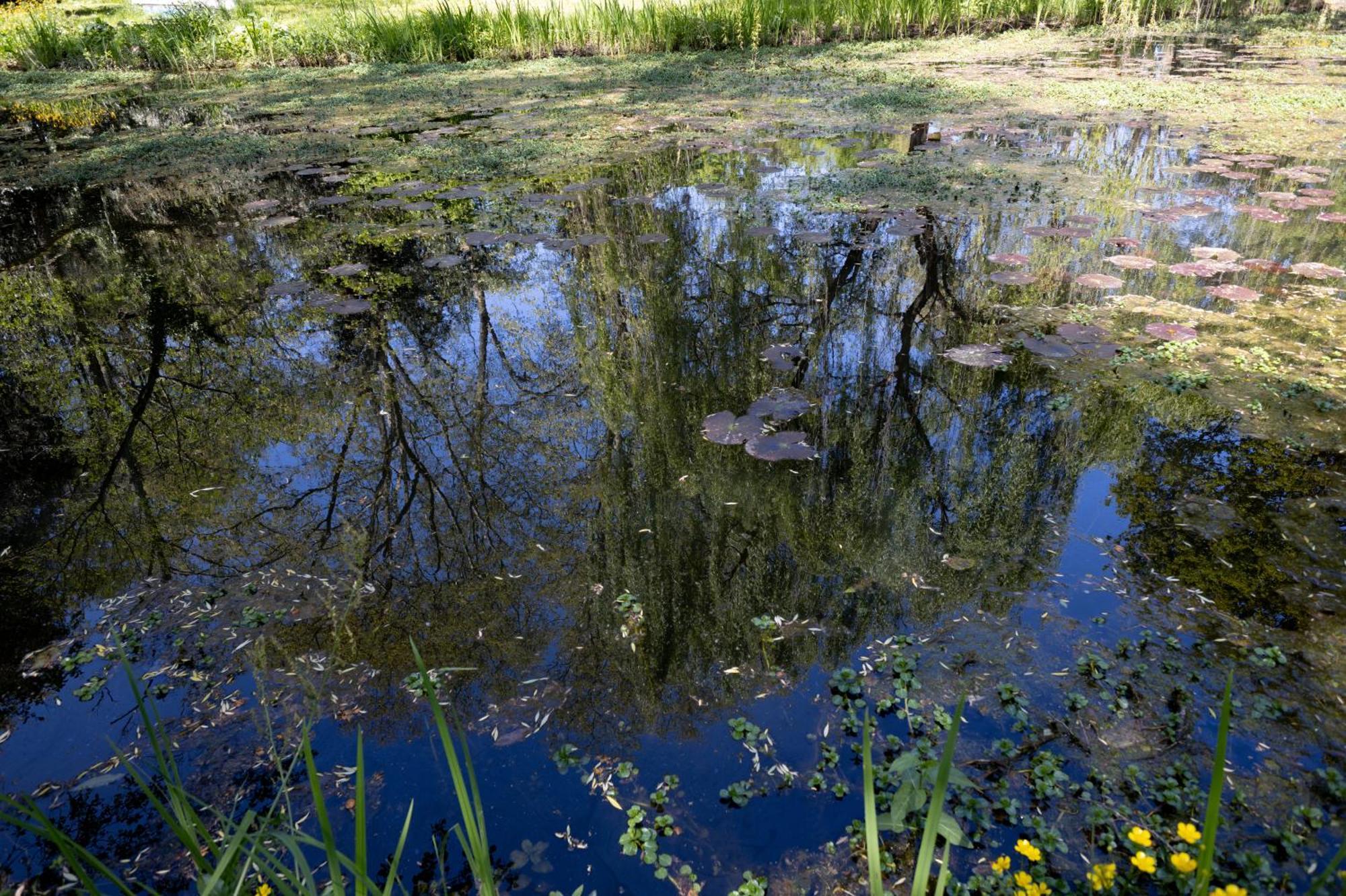 Il Casale Di Villa Rossi Lucca Esterno foto